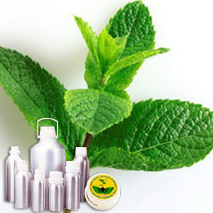 L Menthol 38% TMC50%