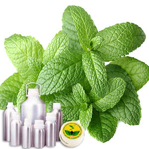 L Menthol 38_40% TMC50%