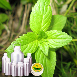 L Menthol 50% TMC65%