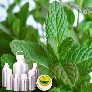 L Menthol 60% TMC72%