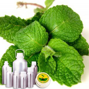 L Menthol 75%