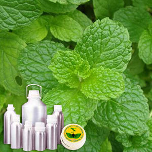 L Menthol 90%