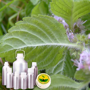 Leaf Acetate Or CIIS III Hexanol