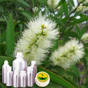 Tea Tree Therapeutic Grade Oil - Age Group: Adults