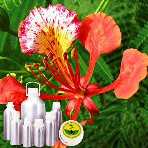 Goldmohar Attar - Delonix Regia Floral Essence, Soluble in Alcohol & Oil, Skin Toning & Sun Screening Benefits