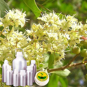 Gul Henna Attar - Botanical Extract of Lawsonia Inermis, Pale Yellow Liquid, Sweet Spicy Aroma | Suitable for Perfume, Mehendi, Tobacco