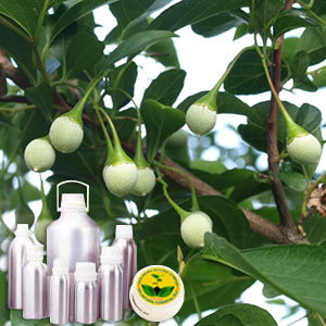 Loban Attar - Styrax Benzoin Resin, Luxurious Aromatic Experience for Holistic Healing