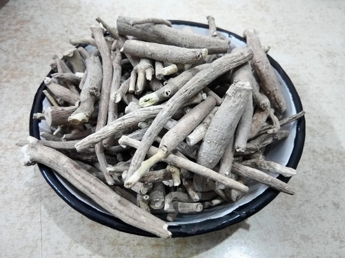 अश्वगंधा (Withania somnifera)
