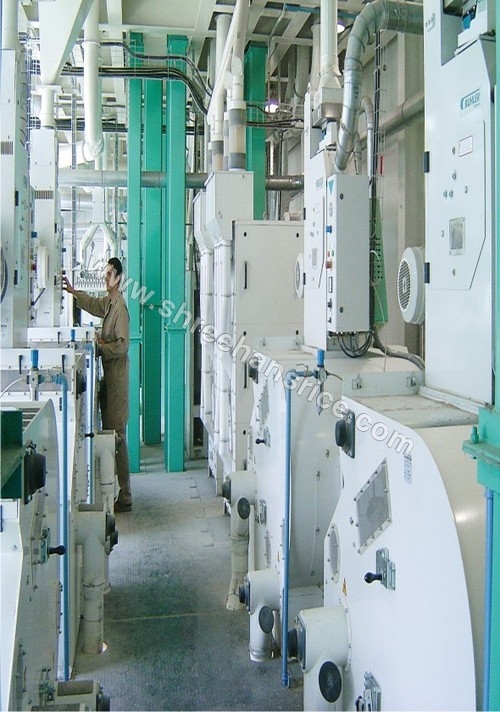 चावल मशीनरी और संयंत्र