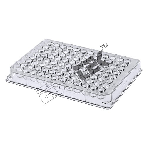 Microtiter Plate