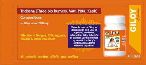 GILOY CAPSULE - Herbal Supplement | Orange Capsules in Bottle, Enriched with Giloy Extract for Immune Support and General Well-being
