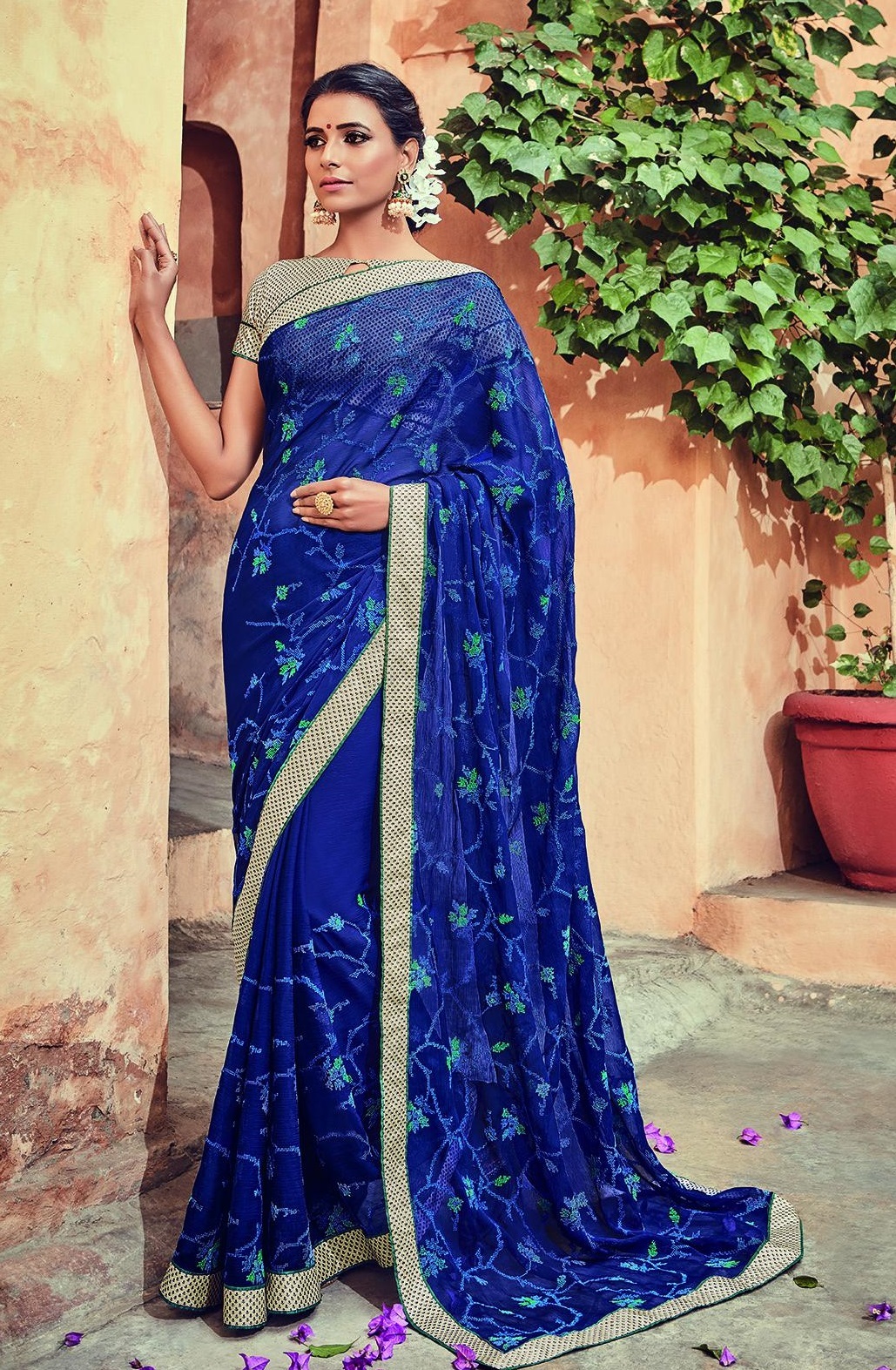Indian Saree Shopping