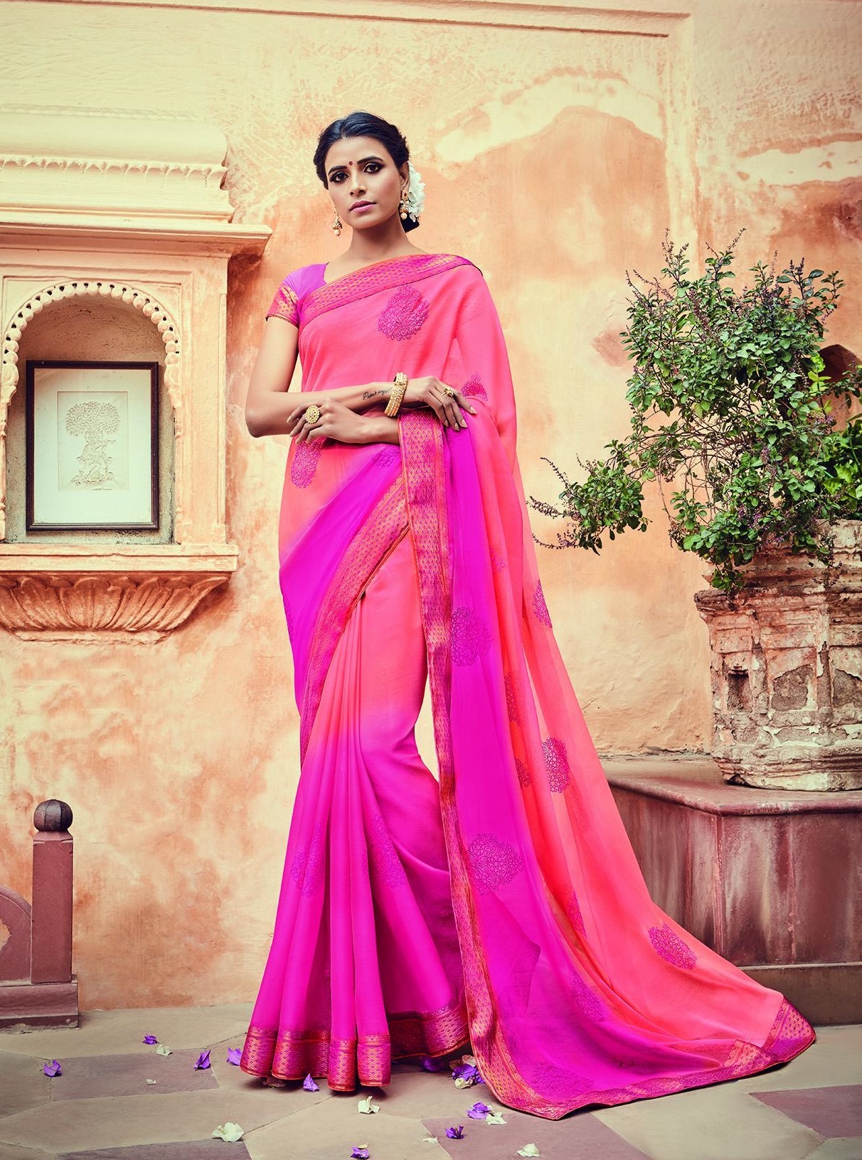 Indian Saree Shopping
