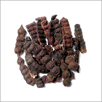 शिकाकाई