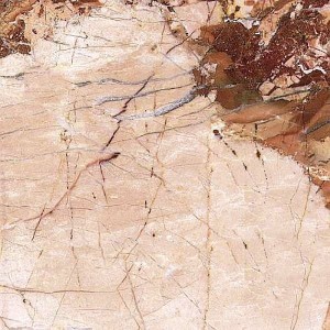 डिजाइनर वाइट्रीफाइड टाइल्स