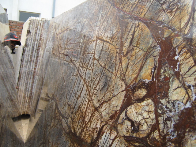 Rainforest Golden Marble - Slabs, 18/20/25/30mm Thickness | Polished Finish, Durable & Water Resistant
