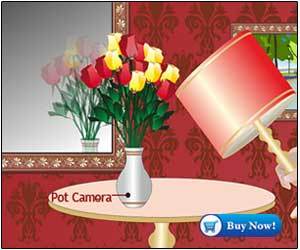 Spy Hidden Flower Pot Camera