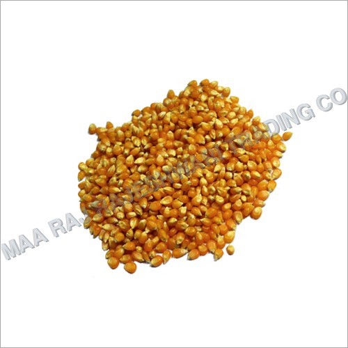 ताज़ा मकई