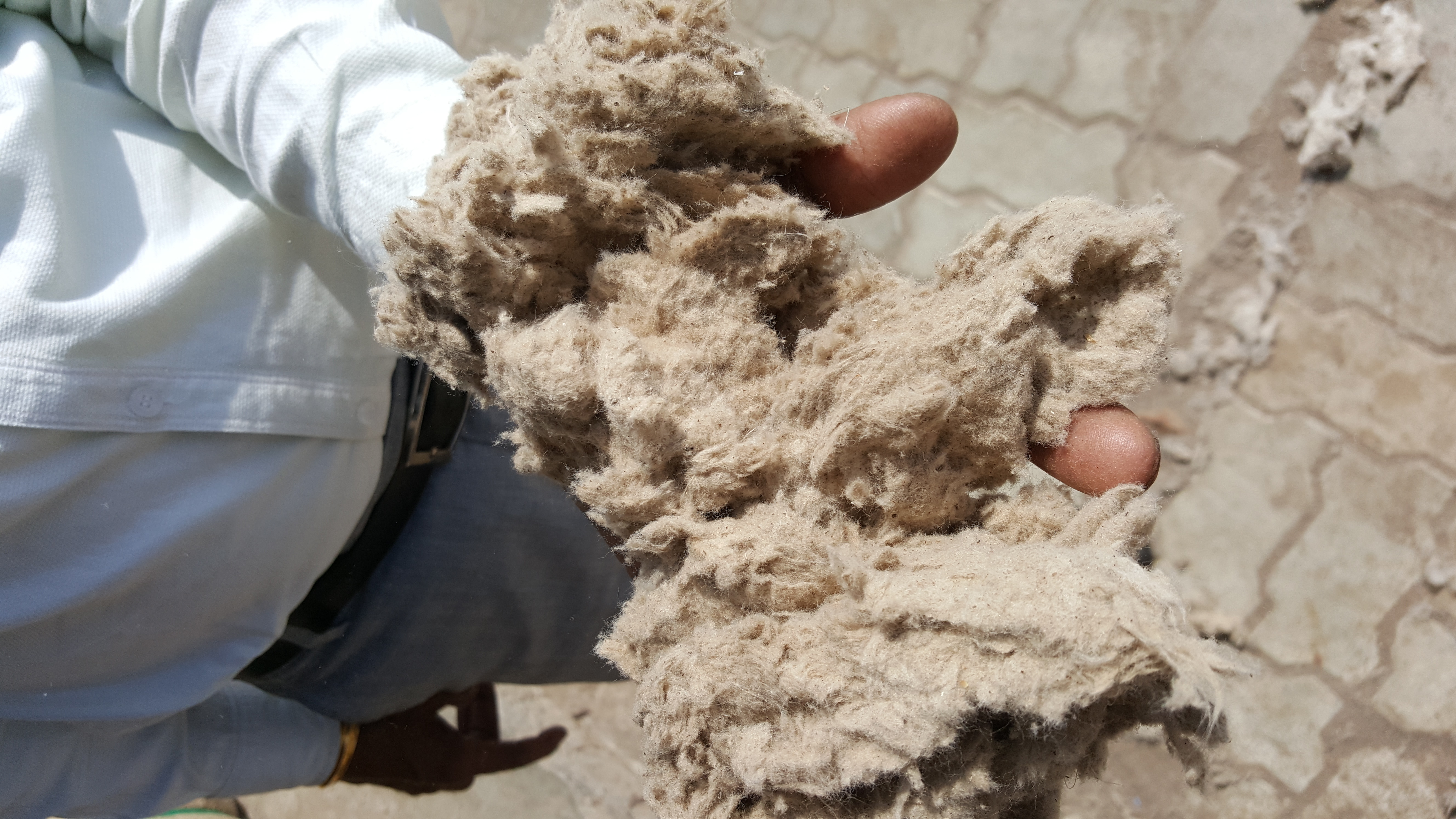 Normal Cotton Lint