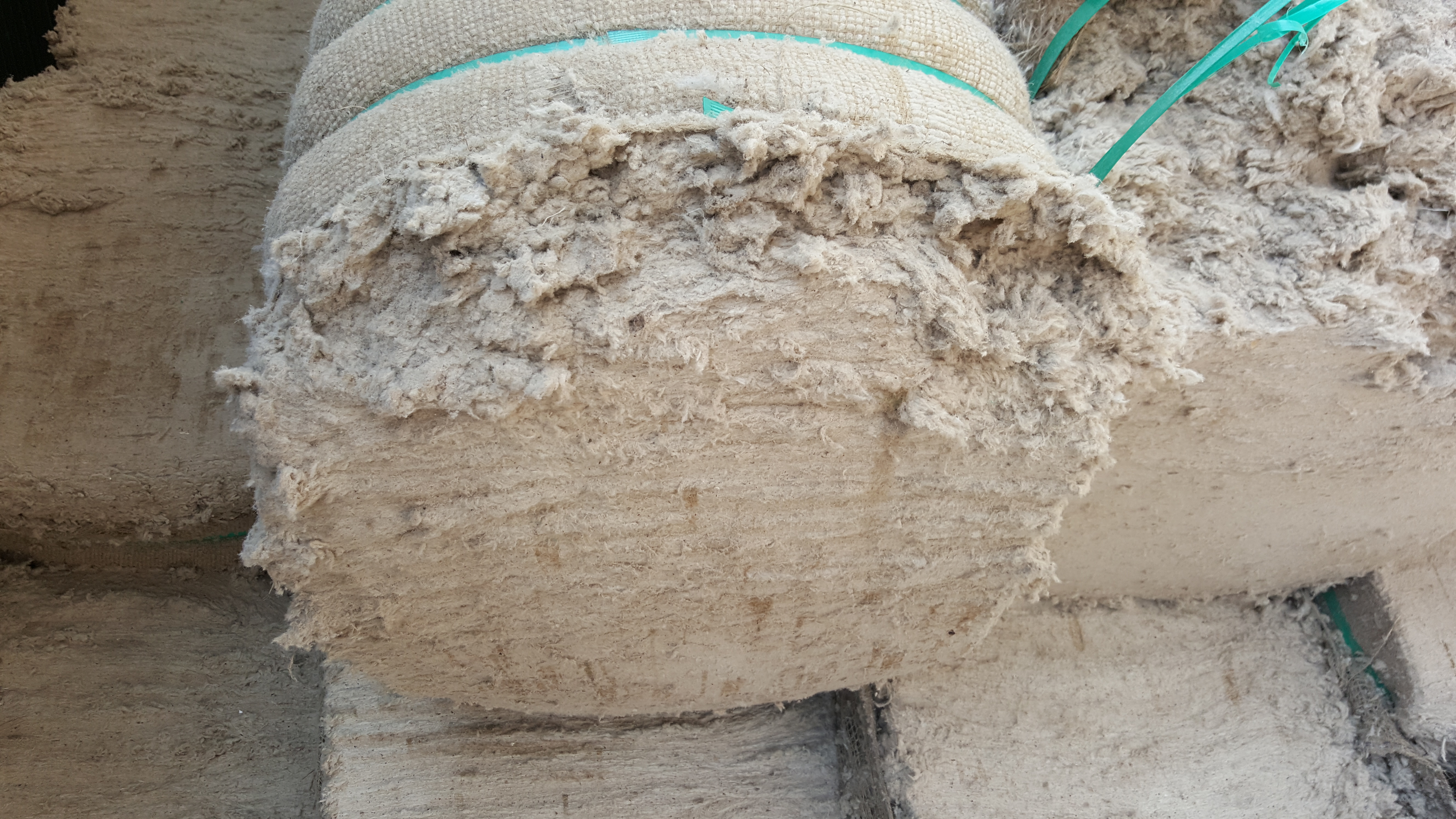 Normal Cotton Lint