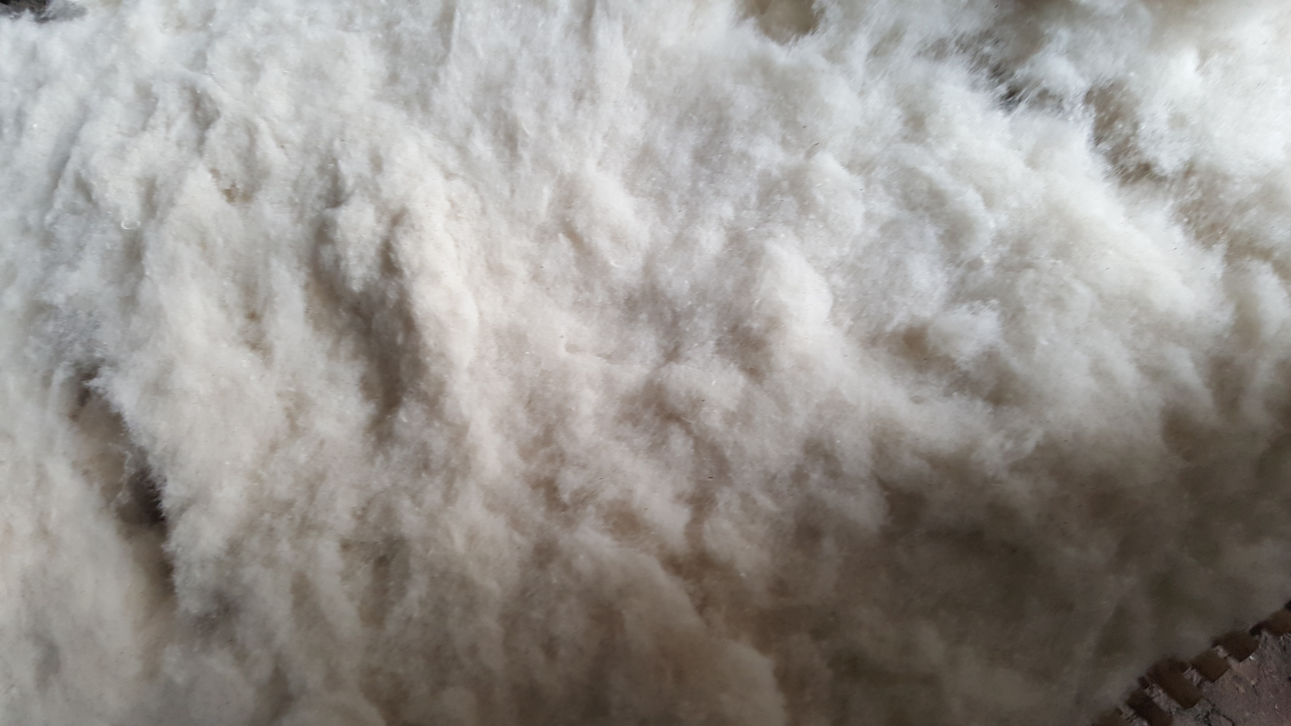 Processed Waste Fiber Length: 10-18 Millimeter (Mm)