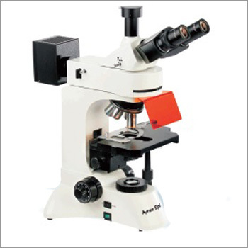 Autoimmune Fluorescence Microscope