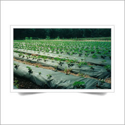 Uv Resistive Non Woven Fabrics