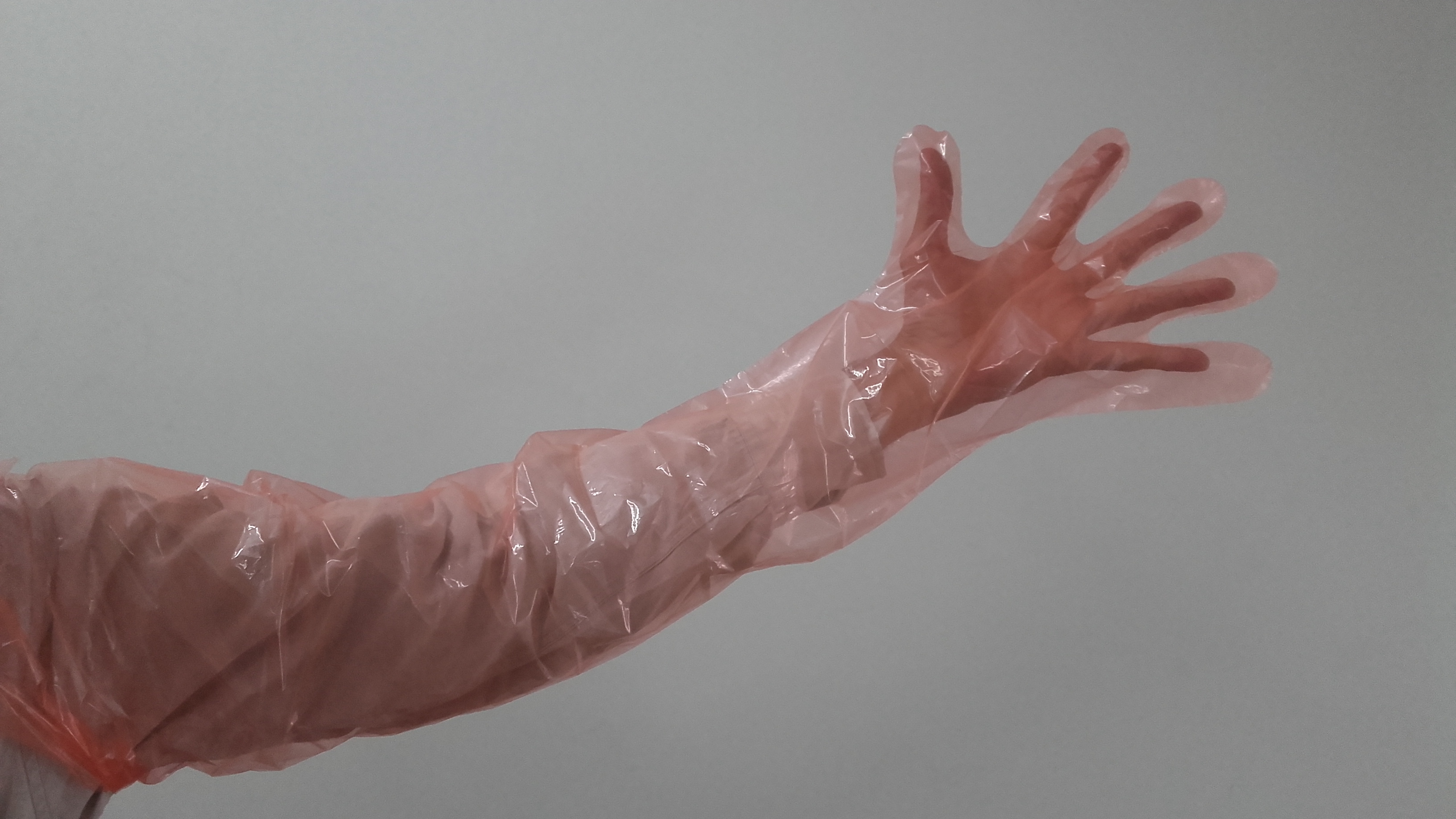 Lldpe Gloves - 18 To 20 Micron Thickness, 35 To 36 Length, Pista Green/orange Color | A.i. / Treatment Use, Available In 40 Pcs/100 Pcs Pack