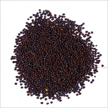 मस्टर्ड सीड्स