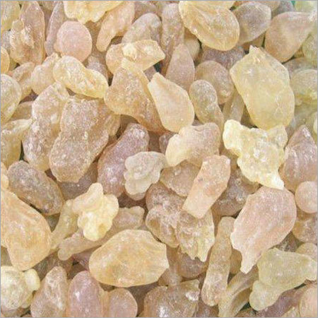 सलाई गुग्गल बासवेलिया सेराटा