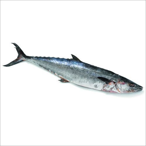 King Fish