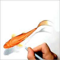 चित्रकला और चित्र