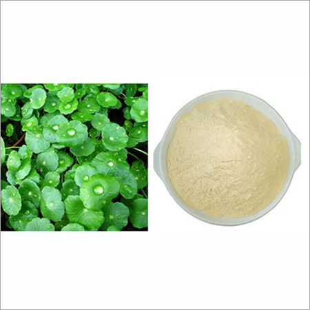 Centella Asiatica Extract - 80% Purity, Light Yellow Powder, Leaf Derived | Anti-Radiation, Detoxification, Hepatoprotective, Dermal Reconstruction Support