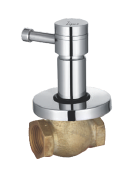Brass Flush Cock