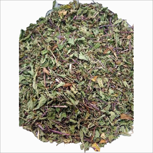 पुदीना पत्ता