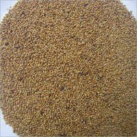 फॉक्सटेल बाजरा