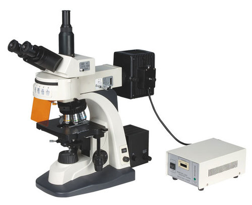 Fluorescence Microscope Dimension(L*W*H): 25 X 10.5 X 11 Millimeter (Mm)