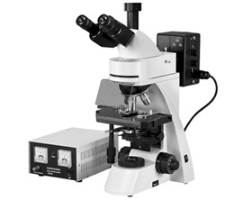 Fluorescence Microscope - Stainless Steel, 25x10.5x11 cm Dimensions, Black and White Colors | 240V Power, 10-15 kg Weight