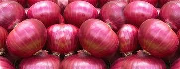 ताजा लाल प्याज