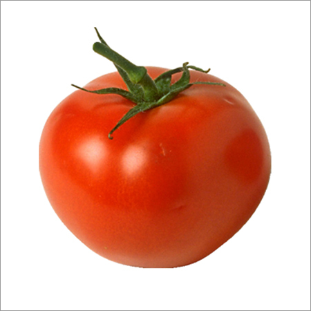 Fresh Tomato