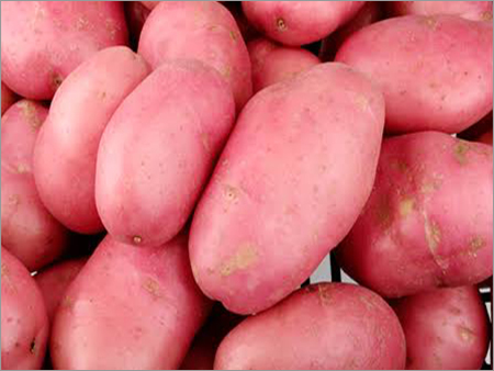 Fresh Red Potatoes
