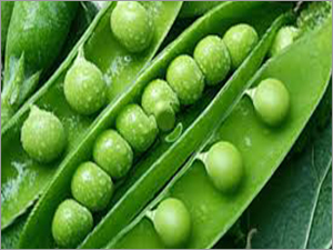 Fresh Peas
