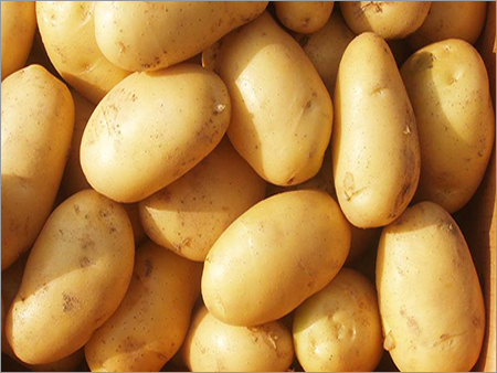 Fresh Potatoes