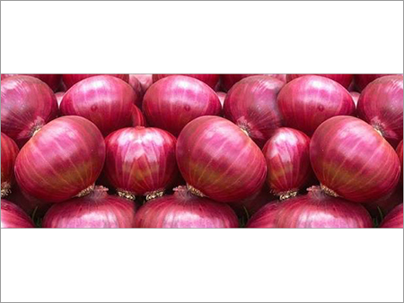 Fresh Onions