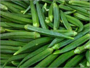 ताज़ी भिंडी