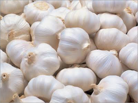 Fresh White Garlic