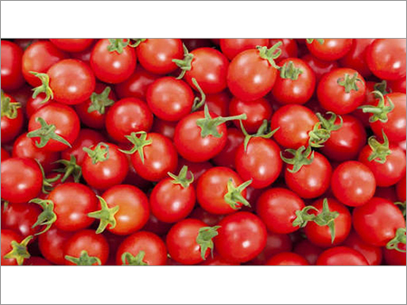Fresh Tomatoes