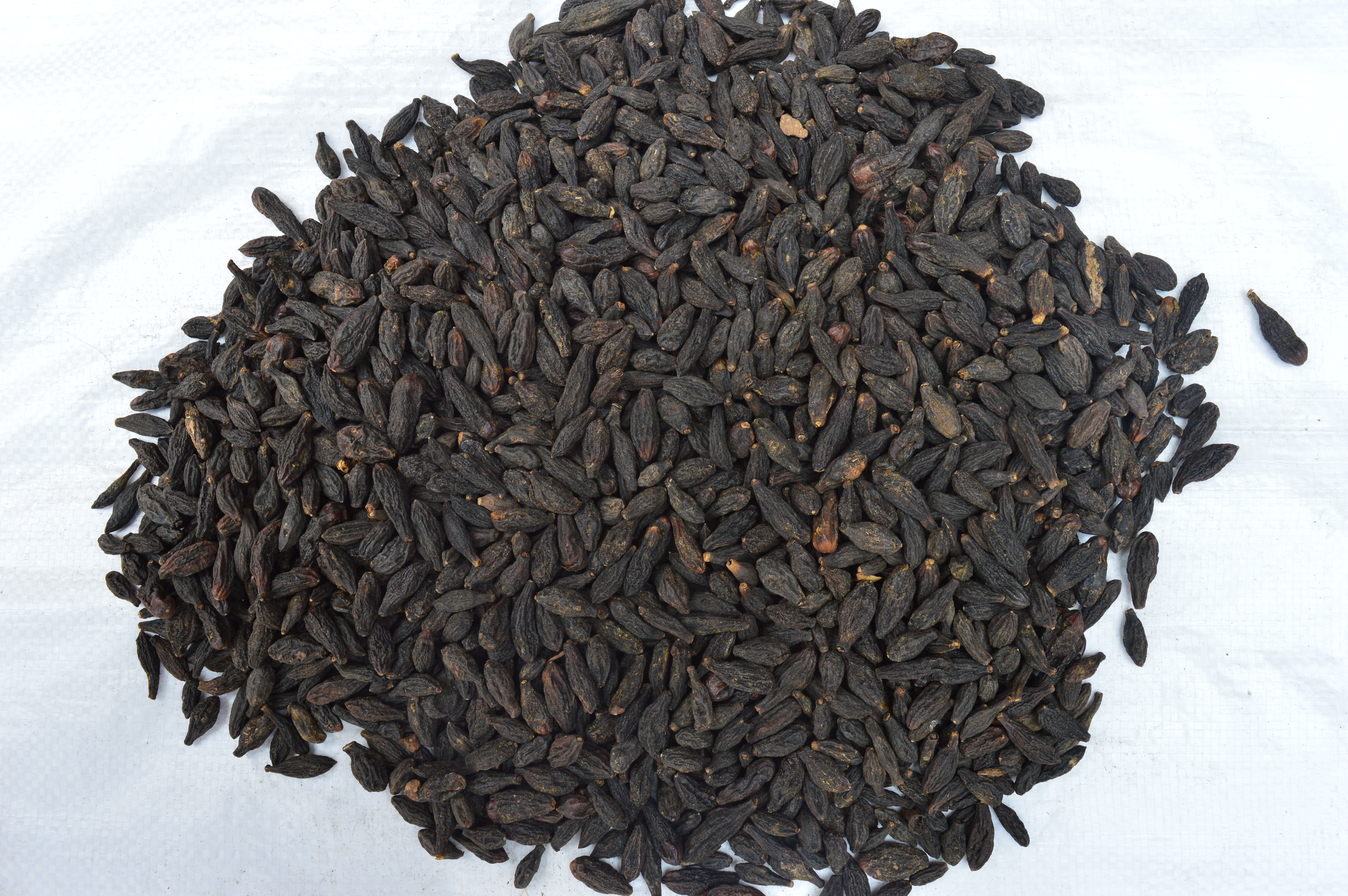 Black Himej (Kali Harad)