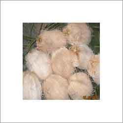 सेमी हस्क्ड नारियल