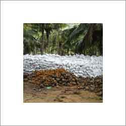 ताजा नारियल पैकिंग